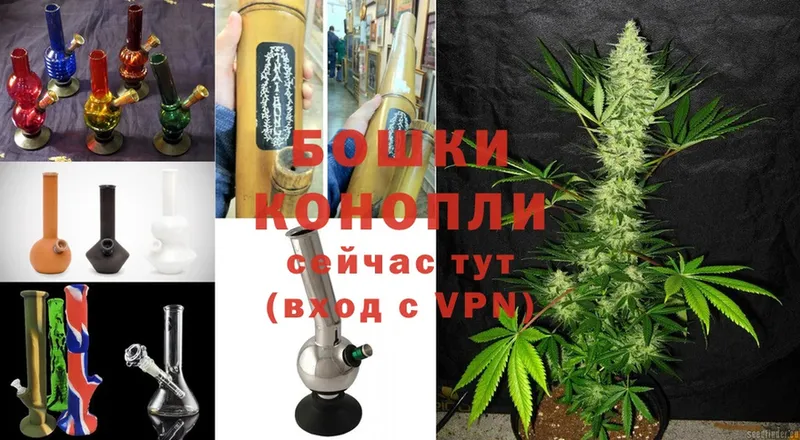 omg зеркало  Канаш  Каннабис White Widow  закладки 